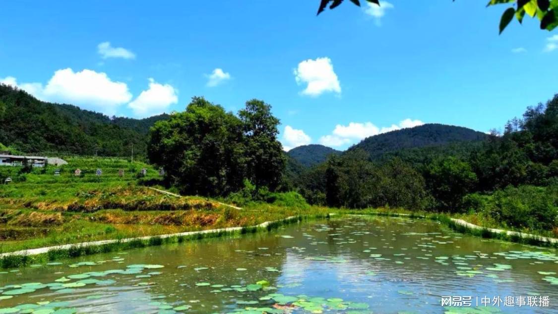 网红科技快手涨赞：自媒体变现之路从零走向成功