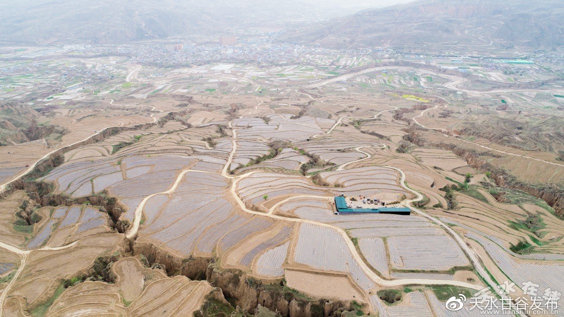 抖音涨粉丝充值网站：专业粉丝增长与账号运营解决方案