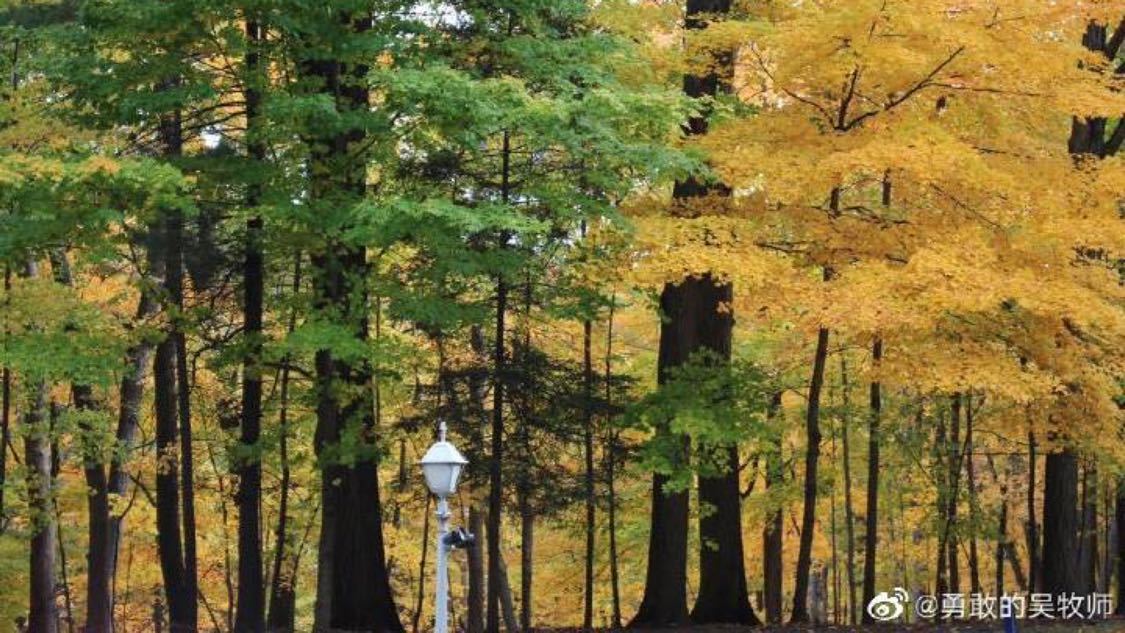 dy小时自助下单平台网站蚂蚁